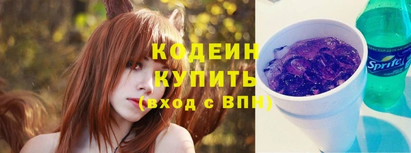 PSILOCYBIN Гусь-Хрустальный