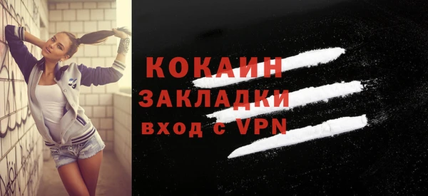 круглые Гусев