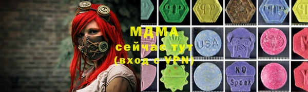 круглые Гусев