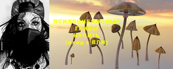PSILOCYBIN Гусь-Хрустальный