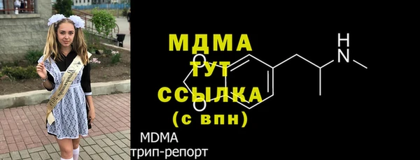 круглые Гусев