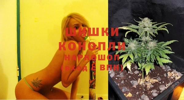 PSILOCYBIN Гусь-Хрустальный