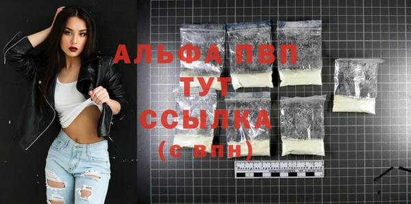 круглые Гусев