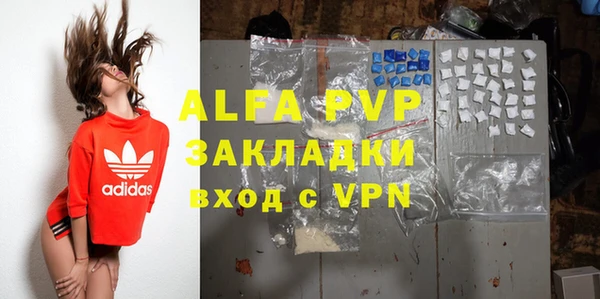 круглые Гусев