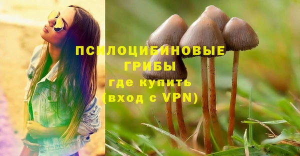 каннабис Гусиноозёрск
