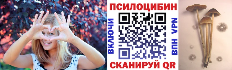 Галлюциногенные грибы Psilocybine cubensis  нарко площадка какой сайт  Няндома 
